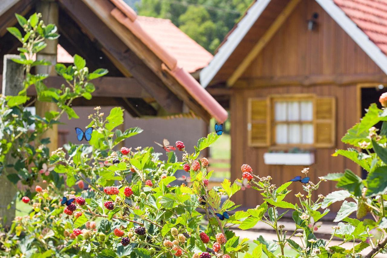 Pousada Rural Pavao - Suites E Chales Urubici Exteriör bild